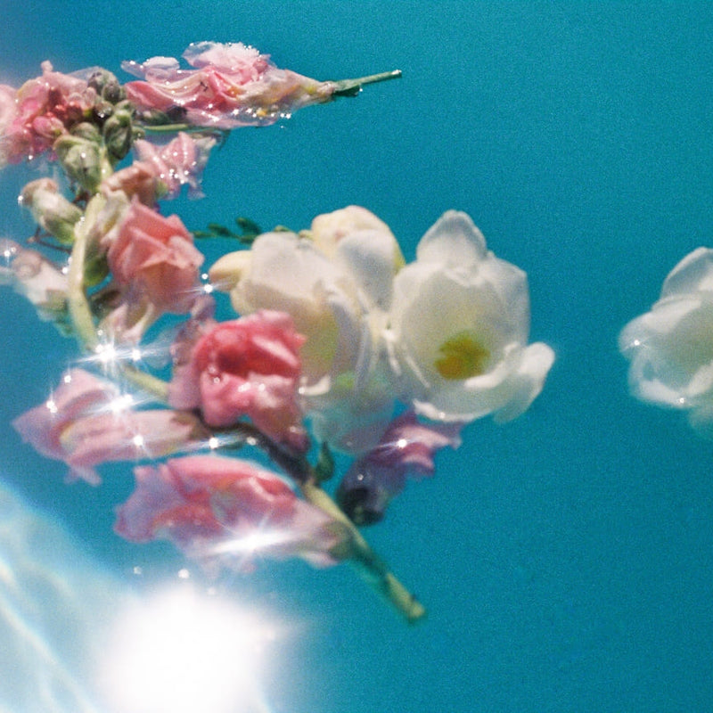 Why Is My Hair Falling Out in Spring? The Science Behind Seasonal Shedding