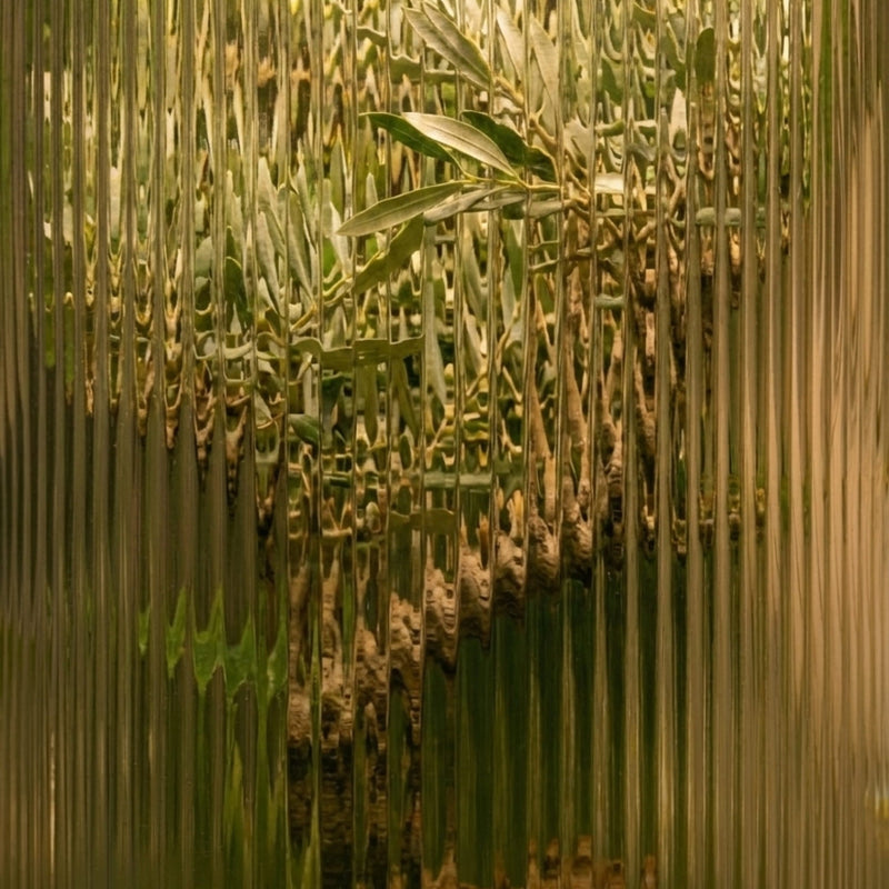 What's Actually Inside the Essence Scalp Mist — And Why Every Ingredient Earns Its Place